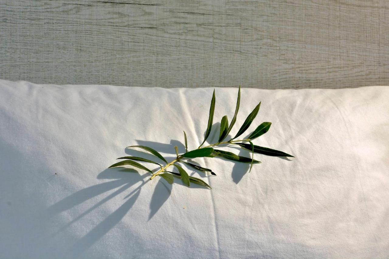 Ago Exclusive Suite Corfu  Eksteriør billede